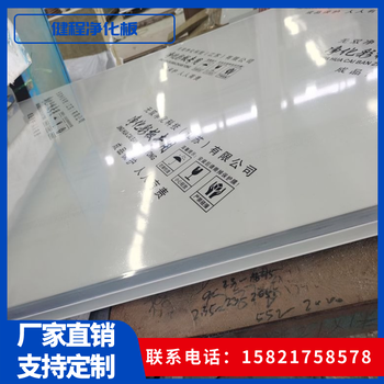 食品車間用巖棉凈化板A級防火夾芯復(fù)合板凈化車間工程