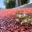 株洲膠粘石瀝青改色防滑路面透水瀝青本地施工隊可包工包料