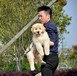 南宁市出售双血金毛犬幼犬怎么养