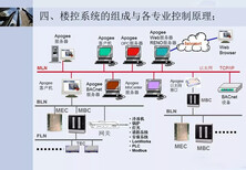 图片0