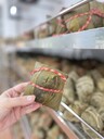 高樂(lè )豐道滘粽子廠(chǎng)家批發(fā)酒店粽子代加工粽子廠(chǎng)商