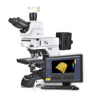 广东金相显微镜型号耐可视电动正置金相显微镜NM930