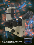 光学显微镜相机MHS900_奥林巴斯荧光显微镜带相机_广州明慧