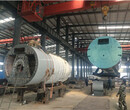 湖北荆州改造立式蒸汽锅炉图片