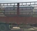 内蒙古巴彦淖尔燃气供暖锅炉内蒙古巴彦淖尔图片