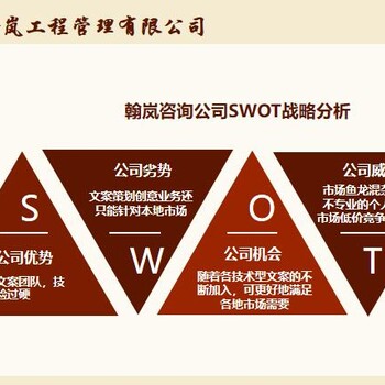 河池项目可行性研究报告策撰须知