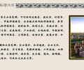 滁州项目建议书翰岚公司编制