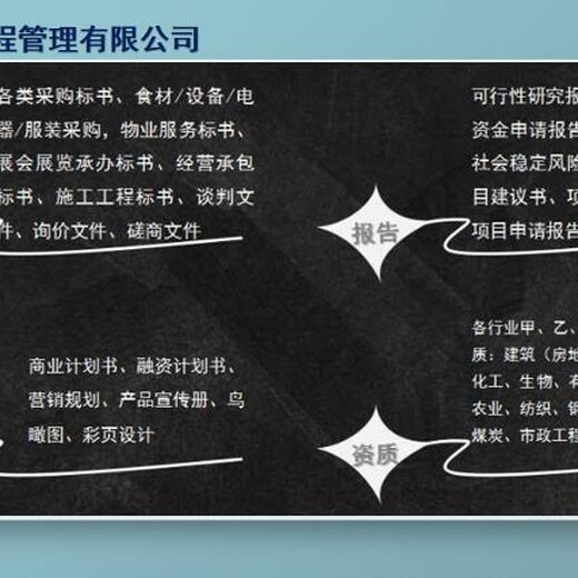 濠江区本地项目备案立项报告定制信息产业行业项目