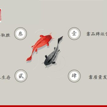 銅陵做項目建議書優(yōu)惠