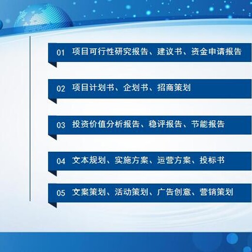 上海实施方案公司策撰立项报告