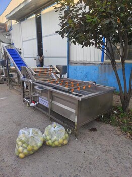做梨膏的設備廠家，生產梨膏需要哪些設備