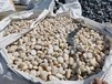 九龙天然鹅卵石/水处理鹅卵石滤料出厂价格