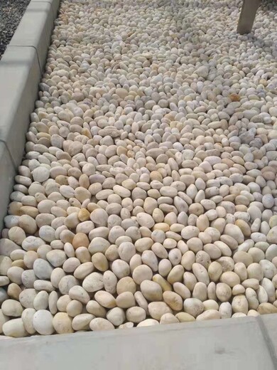 眉山天然鵝卵石/變壓器鵝卵石濾料礦農(nóng)