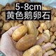 發(fā)發(fā)助手