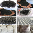 江門臺山市椰殼活性炭凈水處理柱狀活性炭價格圖片