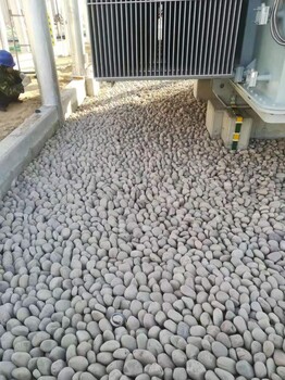 渭南蒲城县变压器鹅卵石米黄色鹅卵石供应商