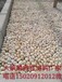 晋中榆社县5-8厘米变压器鹅卵石米黄色鹅卵石生产供应商