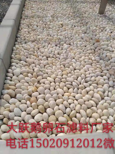湛江雷州市米黃色鵝卵石變壓器濾油池廠家批發(fā)