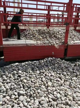钦州灵山县米黄色鹅卵石电力部门鹅卵石用途