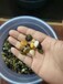 钦州钦南区5-8厘米变压器鹅卵石米黄色鹅卵石厂家批发