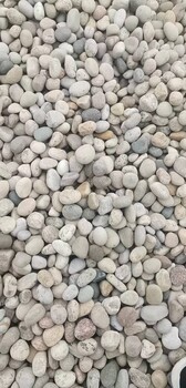 內(nèi)江威遠(yuǎn)縣變壓器鵝卵石米黃色鵝卵石質(zhì)優(yōu)