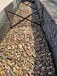 铜陵狮子山区5-8厘米变压器鹅卵石米黄色鹅卵石报价