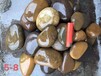 樂山夾江縣米黃色鵝卵石電力部門鵝卵石供應商