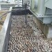 安庆桐城市米黄色鹅卵石电力部门鹅卵石厂家批发