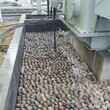 鞍山铁东区5-8厘米变压器鹅卵石米黄色鹅卵石生产厂家图片