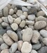 连云港海州区5-8厘米变压器鹅卵石米黄色鹅卵石生产基地