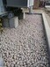 唐山迁安市5-8厘米变压器鹅卵石米黄色鹅卵石厂家批发供应