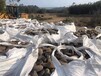 大连沙河口区米黄色鹅卵石变压器滤油池厂家批发供应