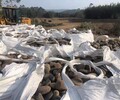台州玉环县米黄色鹅卵石变压器滤油池厂家批发