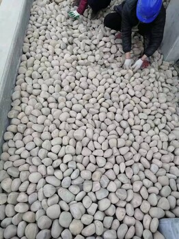芜湖芜湖县变压器鹅卵石米黄色鹅卵石用途