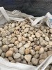 湖州安吉县5-8厘米变压器鹅卵石米黄色鹅卵石生产基地