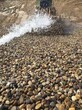 漳州龙海市米黄色鹅卵石变压器滤油池价格图片