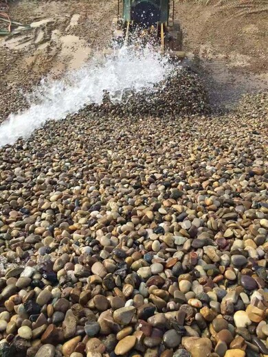 内江东兴区5-8厘米变压器鹅卵石米黄色鹅卵石厂家批发