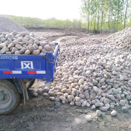 淮南凤台县5-8厘米变压器鹅卵石米黄色鹅卵石厂家批发供应