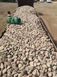 怀化洪江市米黄色鹅卵石电力部门鹅卵石质优图片