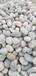 佛山南海区5-8厘米变压器鹅卵石米黄色鹅卵石价格