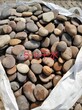 玉溪峨山彝族自治县5-8厘米变压器鹅卵石米黄色鹅卵石厂家品牌图片