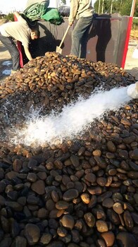 欽州浦北縣變壓器鵝卵石米黃色鵝卵石用途