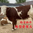 500斤左右西门塔尔繁殖母牛好养易活现在什么价钱图片