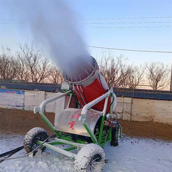 滑雪場人工制雪機戲雪樂園小型造雪機游樂場滑雪道炮式60造雪機