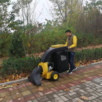 電動吹吸樹葉機園林學(xué)校樹葉收集機汽油手推式吸樹葉機