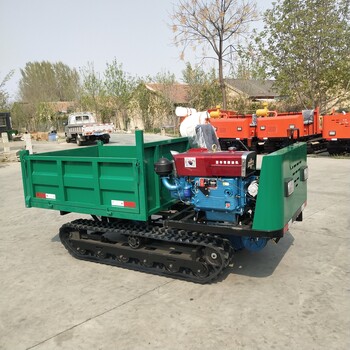 廠家定制小型工廠履帶運(yùn)輸車(chē)農(nóng)用山地水泥沙石履帶運(yùn)輸車(chē)
