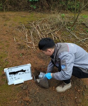 园林种植土检测绿化种植土常规检测