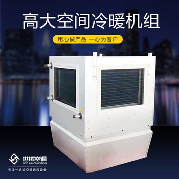 高大空間空調(diào)機(jī)組冷熱循環(huán)空氣處理單元靜音低噪換熱