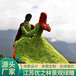 額濟(jì)納旗真植物綠雕定制價格