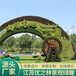 榕江五色草造型绿雕生产厂家
